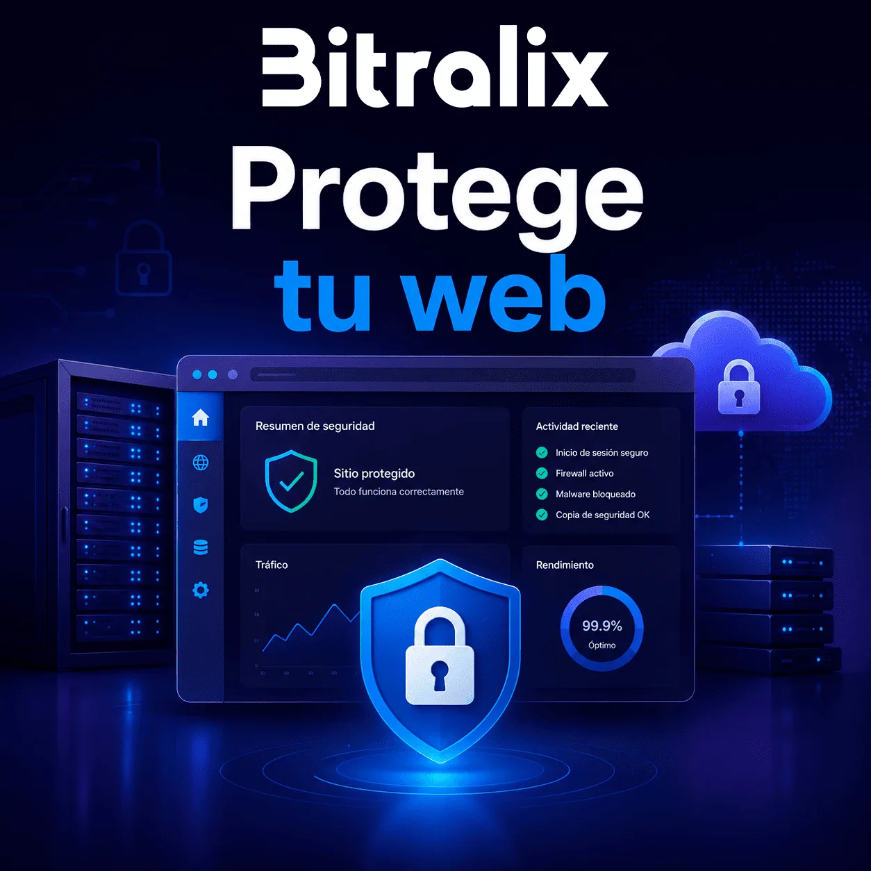 Protege tu web con buenas prácticas de seguridad y hosting seguro en Bitralix